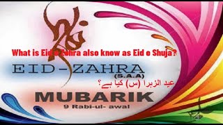 EideZehra  celebrated on 9th Rabi ul Awal duasweb [upl. by Eiramanitsirhc]