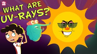 ULTRAVIOLET RAYS  How Harmful Are UV Rays  Ultraviolet Radiation  Dr Binocs Show  Peekaboo Kidz [upl. by Ahsemad]