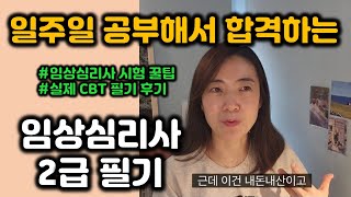 일주일만에 합격하는 임상심리사 2급 실제필기합격후기 꿀팁 대방출 [upl. by Naaitsirhc]