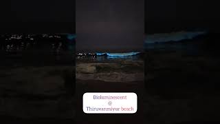 Bioluminescent at Chennai Thiruvanmiyur Palavakkam beach Glowing beach natural light in beach [upl. by Darice]