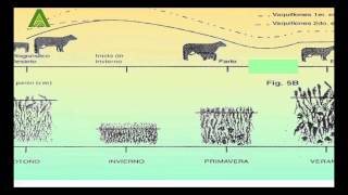 Producción Animal sobre Campo Natural Parte 1 [upl. by Euqinomahs485]