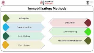 Enzyme Immobilization techniques use of isolated enzymes in industrial processes [upl. by Aleusnoc]