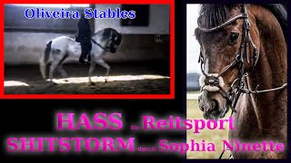 Rechtsstreit HASS im REITSPORT OLIVEIRA STABLES und SOPHIA NINETTE LÜBBE [upl. by Rahel]