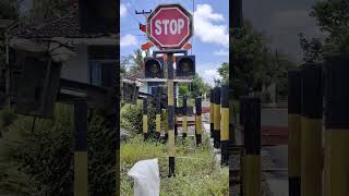 Railroad Crossing Indonesia  Perlintasan Kereta Api Unik di Purworejo [upl. by Olette]