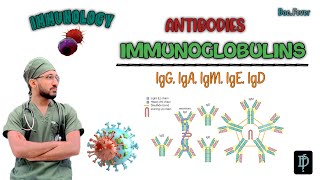 What is Immunoglobulin Functions and Types Explained  Antibodies igG igA  igM igE amp IgD [upl. by Esertal239]