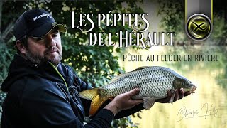 Les Pépites de lHérault  Pêche au feeder en rivière avec Charles Hily  Matrix Fishing TV France [upl. by Brandt821]