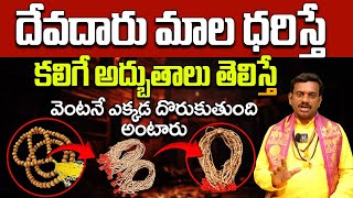 దేవదారు మాల ధరిస్తే కలిగే అద్భుతాలు  Benefits of Devadaru  Devadaru mala  devadaru malai benefits [upl. by Suiramed121]