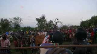 Bull Jumping Ceremony  Omo Valley Ethiopia [upl. by Bradleigh]