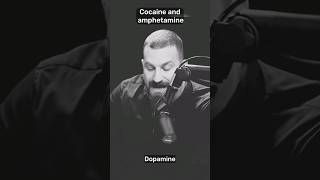 quotCocaine vs Amphetamine  Dopamine Hijackersquot shorts health [upl. by Lamar907]