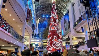 TORONTOS Most Magical Christmas Tree Lighting Eaton Centre🌲2024 [upl. by Simons623]