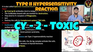 Type II Hypersensitivity Reaction  Erythroblastosis fetalis  Tamil  Immunology  ThiNK Biology [upl. by Otecina]