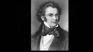 Schubert 11 Ecossaises D 781 1823 [upl. by Enairda692]