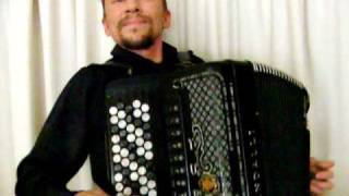 Best Waltzes of STRAUSS  accordion amp band [upl. by Nwahsiek]