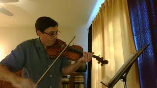 Lacrimosa Mozart violin arrangement [upl. by Ataliah]