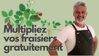 Multiplier ses fraisiers gratuitement [upl. by Notliw]