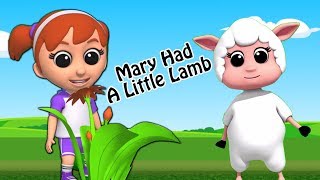 mary aveva un piccolo agnello bambini rime canzoni prescolari Poem For Babies Mary Had A Little Lamb [upl. by Nereids]