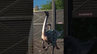 Struthiomimus the “ostrich mimicquot [upl. by Nomyaw]