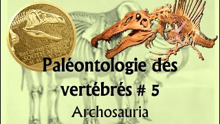 Paléontologie des vertébrés 5 Archosauria [upl. by Esile721]