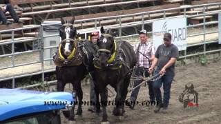 Festival country st antonin Tire de chevaux 5000 lb 18 Juin 2017 [upl. by Elinad382]