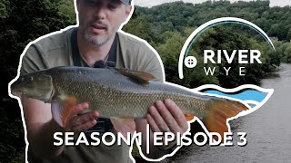 Barbel Fishing on River Wye Continued  S1 E3  Out and About Angling [upl. by Ecikram374]