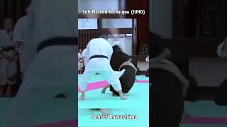 Shorinji Kempo  Soft Method Technique [upl. by Audras]