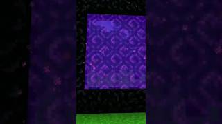 minecraft complete neither portal short viral [upl. by Notniw914]