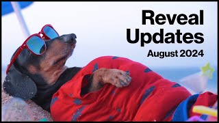 Reveal Updates 202408  Verizon Connect [upl. by Bore]