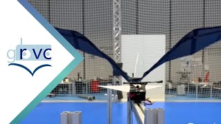 Optimal elastic wing for flappingwing robots through passive morphing [upl. by Donalt]