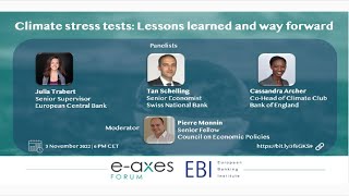 Climate stress tests Lessons learned and way forward [upl. by Zilber]