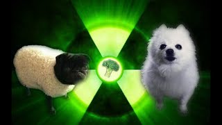 Imagine Doggos  Radioactive [upl. by Namielus]