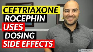 Ceftriaxone Rocephin  Pharmacist Review  Uses Dosing Side Effects [upl. by Solnit]