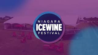 Niagara Icewine Festival 2023  Highlights [upl. by Renard]