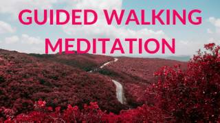 GUIDED WALKING MEDITATION  FREE YOUR MIND IN 15 MINUTES [upl. by Jankell]