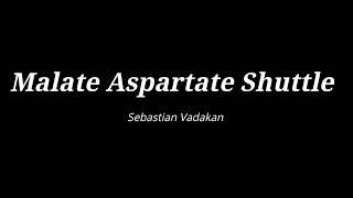 Malate Aspartate Shuttle [upl. by Dryden]