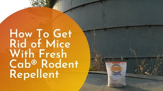 How To Get Rid of Mice With Fresh Cab Rodent Repellent [upl. by Vasta561]