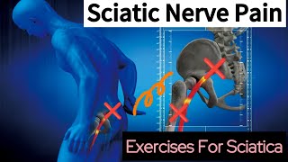 Sciatica painSciatic Nerve Pain SymptomsExercises for Sciatica [upl. by Trimmer]