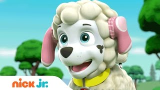 Nursery Rhyme Songs for Kids  Stay Home WithMe  Music  Nick Jr [upl. by Delmar]