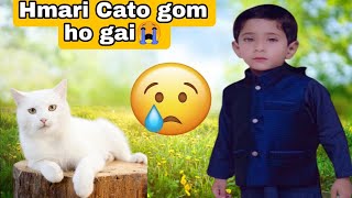 Hamri mano goom hogai  Catto  Village vlog [upl. by Eirrot248]