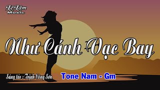 Karaoke  NHƯ CÁNH VẠC BAY  Tone Nam  Lê Lâm Music [upl. by Ayoj]