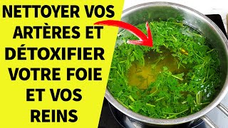 Buvez Cette Tisane Pour Nettoyer Vos Artères Et Détoxifier Votre Foie Et Vos Reins [upl. by Lah326]