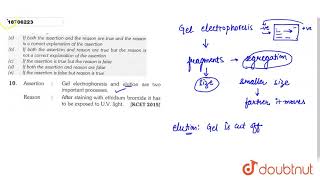 Assertion  Gel electrophoresis and elution are two important processes Reason  After [upl. by Assirek]