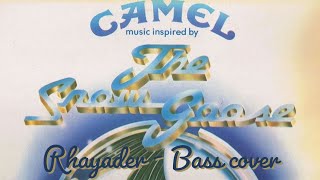 Rhayader  Camel  Bass cover with tabs [upl. by Iralam610]