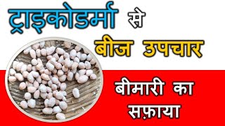 ट्राइकोडर्मा से बीज़ उपचार कैसे करें  How to treat Seed with Trichoderma [upl. by Ennaihs849]