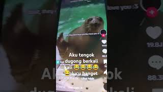 kalian penah lihat ini dugong [upl. by Tunk]