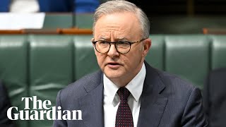 Anthony Albanese and Peter Dutton clash on Palestinian visas in question time [upl. by Mapel354]