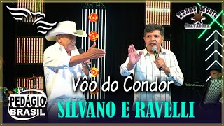 O Vôo do Condor  SILVANO E RAVELLI [upl. by Atsyrhc]