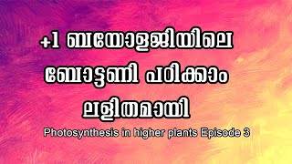 1botany class photosynthesis in higher plants episode [upl. by Engracia590]