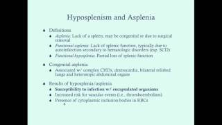 Hyposplenia and Asplenia  CRASH Medical Review Series [upl. by Plato]