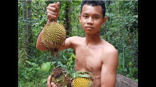 ORANG HUTAN Makan Durian Dibawah Pohon Durian Langsung Primitive Indonesia [upl. by Teodorico334]