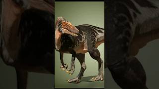 Fukuiraptor vs Achillobator dinosaur shorts animals explore curiosidades [upl. by Enehpets929]